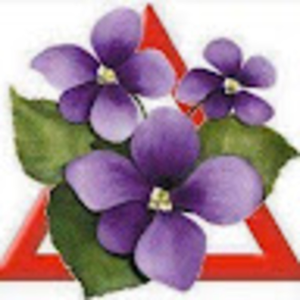 Meet your Posher, Carlynn